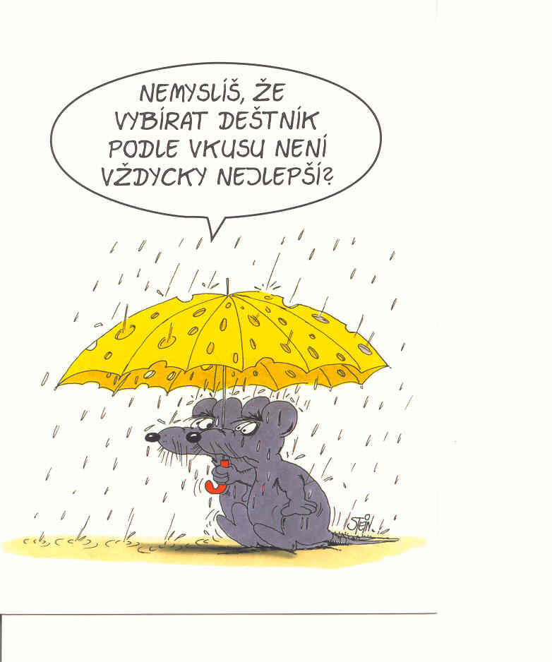 19_1.jpg