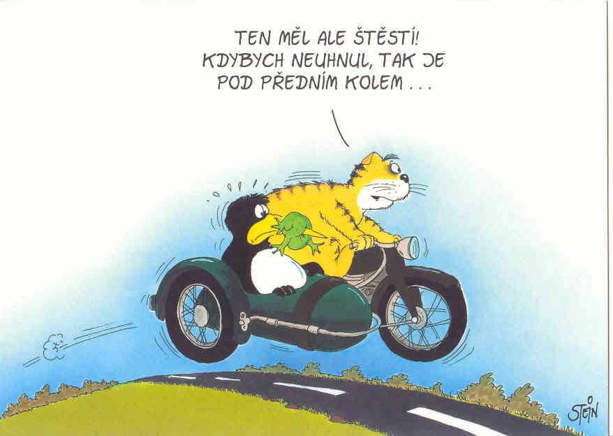 24_1.jpg